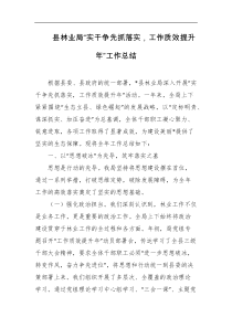 县林业局实干争先抓落实工作质效提升年工作总结