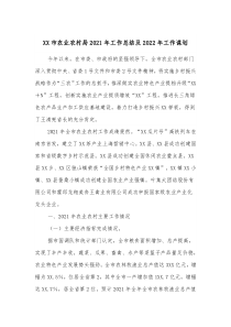 XX市农业农村局20XX年工作总结及20XX年工作谋划