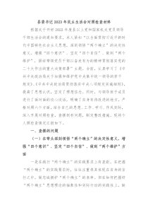 县委书记20XX年民主生活会对照检查材料