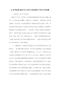 xx市司法局20XX年上半年工作总结和下半年工作安排
