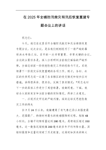 在2025年全镇防汛救灾和汛后恢复重建专题会议上的讲话