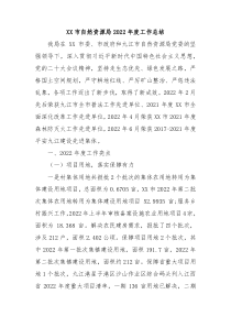 XX市自然资源局20XX年度工作总结