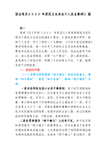 国企党员20XX年度民主生活会个人发言提纲2篇