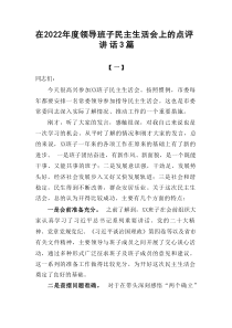 在20XX年度领导班子民主生活会上的点评讲话3篇