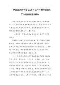 集团党支部书记2025年上半年履行全面从严治党责任情况报告