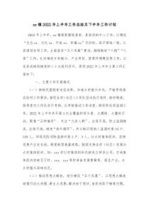 xx镇20XX年上半年工作总结及下半年工作计划