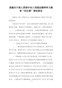 某镇关于深入贯彻中央八项规定精神学习教育“回头看”情况报告