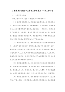 xx镇党政办20XX年上半年工作总结及下一步工作计划
