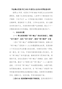 市金融办党组书记20XX年度民主生活会对照检查材料