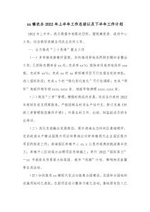 xx镇农办20XX年上半年工作总结以及下半年工作计划