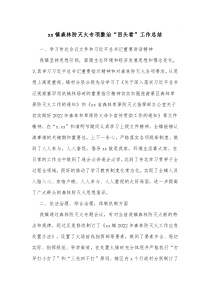 xx镇森林防灭火专项整治回头看工作总结