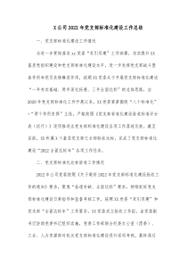 X公司20XX年党支部标准化建设工作总结