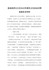 某县政府办主任20XX年度民主生活会对照检查发言材料