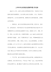 上半年市公安局优化营商环境工作总结
