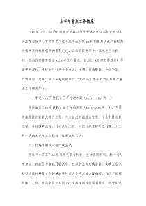 上半年重点工作情况