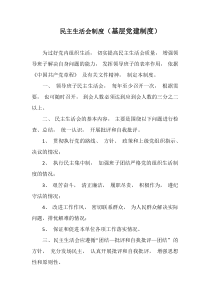 民主生活会制度基层党建制度