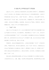 乡20XX年上半年安全生产工作总结
