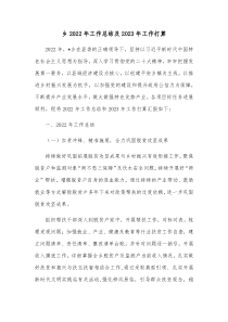 乡20XX年工作总结及20XX年工作打算