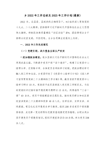 乡20XX年工作总结及20XX年工作计划最新