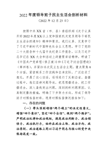 精选20XX年度领导班子民主生活会剖析材料