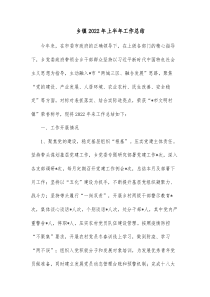 乡镇20XX年上半年工作总结