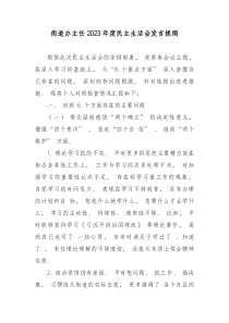 街道办主任20XX年民主生活会发言提纲