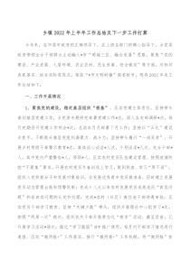乡镇20XX年上半年工作总结及下一步工作打算