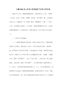 乡镇20XX年上半年工作总结及下半年工作计划