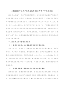 乡镇20XX年上半年工作总结和20XX年下半年工作安排