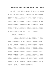 乡镇20XX年上半年工作总结和20XX年下半年工作计划