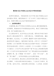 镇党委20XX年度民主生活会召开情况的报告