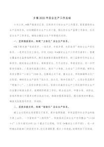 乡镇20XX年安全生产工作总结