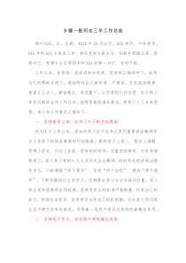 乡镇一般同志三年工作总结