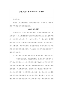 乡镇人大主席团20XX年工作报告