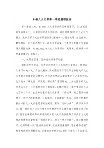 乡镇人大主席第一季度履职报告