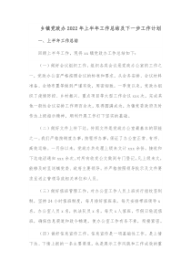 乡镇党政办20XX年上半年工作总结及下一步工作计划