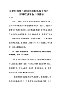 县委组织部长在2025年新提拔干部任前廉政谈话会上的讲话