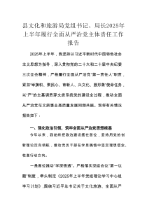 县文化和旅游局党组书记、局长2025年上半年履行全面从严治党主体责任工作报告