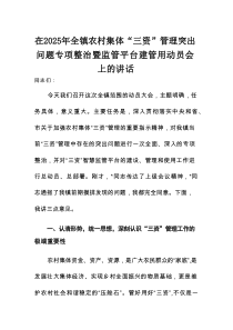 在2025年全镇农村集体“三资”管理突出问题专项整治暨监管平台建管用动员会上的讲话