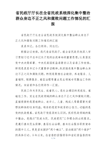 省民政厅厅长在全省民政系统深化集中整治群众身边不正之风和腐败问题工作情况的汇报