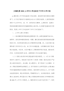 乡镇纪委20XX上半年工作总结及下半年工作计划