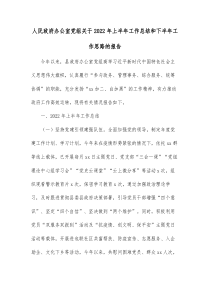 人民政府办公室党组关于20XX年上半年工作总结和下半年工作思路的报告
