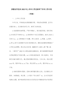 供销合作总社20XX年上半年工作总结和下半年工作计划市级