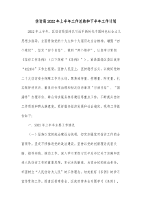 信访局20XX年上半年工作总结和下半年工作计划