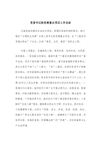 党委书记抓党建重点项目工作总结