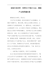 经验交流发言培育壮大链主企业赋能产业高质量发展