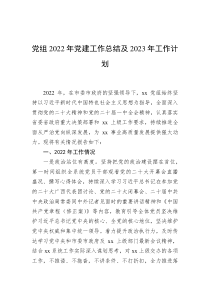 党组20XX年党建工作总结及20XX年工作计划
