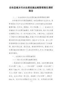 自治县城乡污水处理设施运维管理情况调研报告