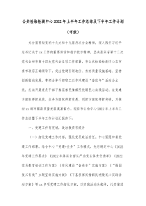 公共检验检测中心20XX年上半年工作总结及下半年工作计划市级