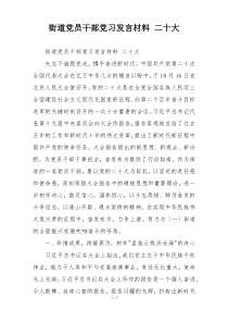 街道党员干部党习发言材料 二十大